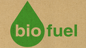 Future of Green Energy